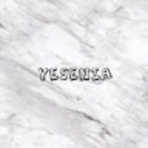 Meet your Posher, Yesenia